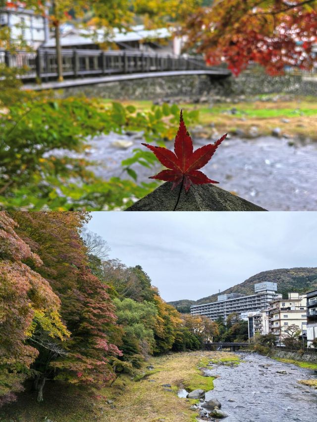 探索那須鹽原，邂逅小眾日式風情