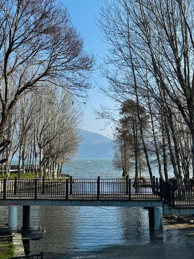 文山3日深度遊 超詳細攻略來襲
