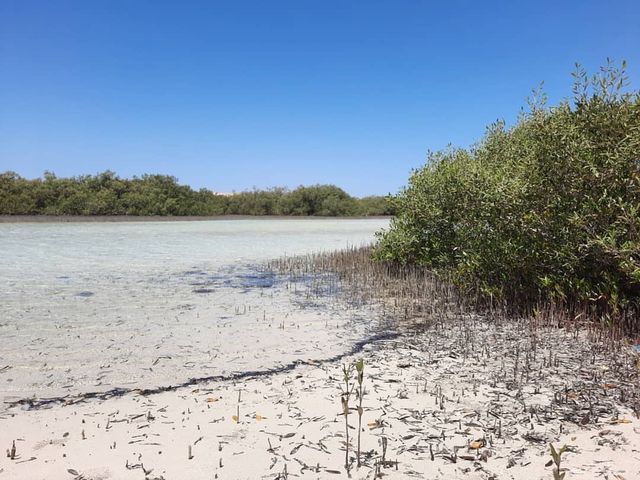 「拉斯穆罕默德國家公園（Ras Mohammed National Park）——紅海潛水天堂」