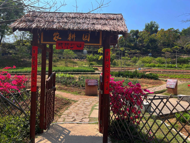 🌳深圳西麗生態公園，心之嚮往
