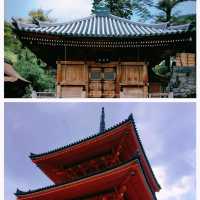 京都賞櫻🌸清水寺柯南同款打卡地‼️