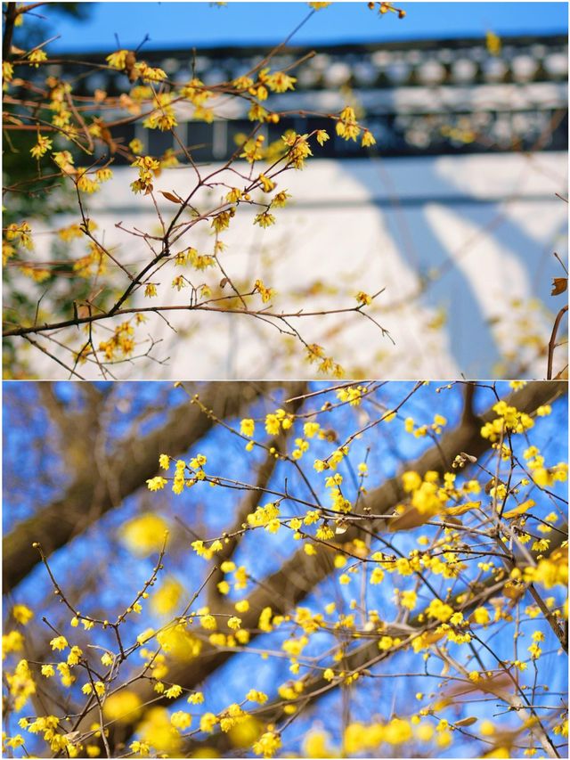 第一次來包公園 這麼玩就對了