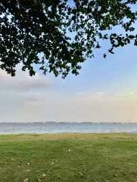 海風與椰影：東海岸公園的悠然時光