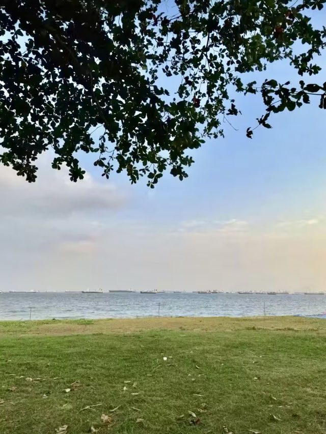 海風與椰影：東海岸公園的悠然時光