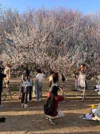 奧森桃花谷的桃花劫～