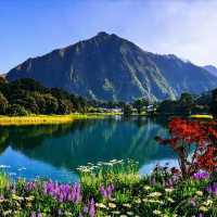 惠靈頓四季如春，溫柔之旅。