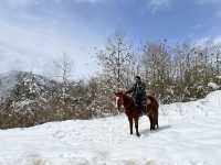在春日裡去雪山撒歡