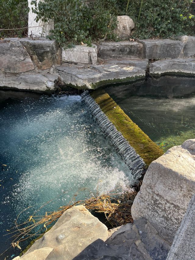 清明節 8 日暢遊泰安等地 美景盡收眼底