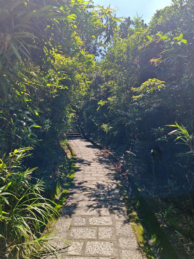 小長假玩轉香港-珠海-澳門超全攻略來襲
