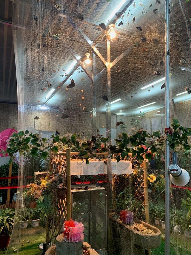 太原植物園｜週末好去處