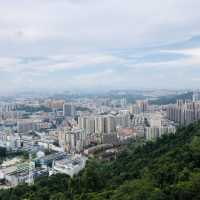 深圳東部一日游，解鎖博物館、公園、植物園！