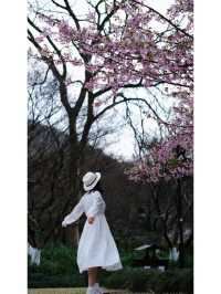 Exploring Hangzhou: A Serene Walk Through Maojiabu