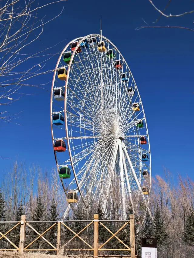Travel Guide for Xining and Other Destinations | Let's Go for a Citywalk!