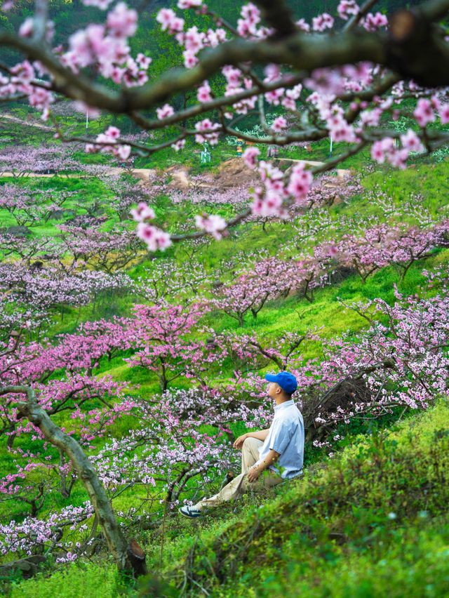 收好這份避開人潮攻略！輕鬆承包無人桃花源