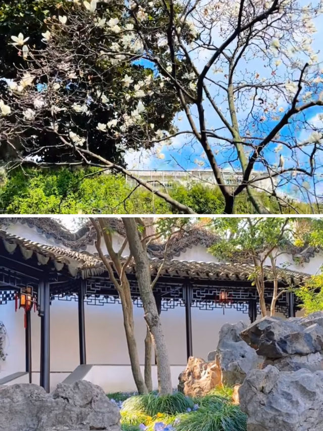 江浙滬1.5小時可達，短途出遊四個小眾城市