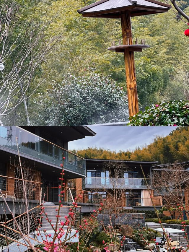 宜春明月山，浸溫泉賞美景