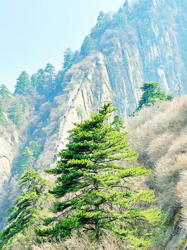 夜爬華山看日出！一生必試的極致冒險