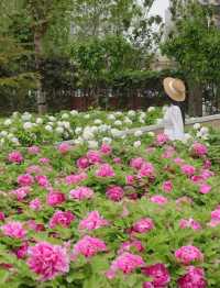 水上公園新國潮牡丹音樂派對，等你來炸場！