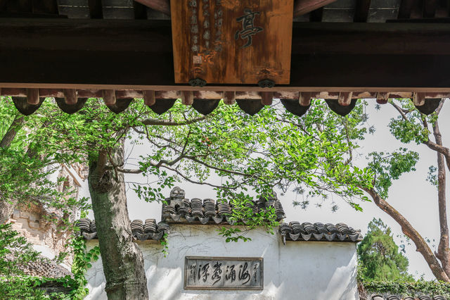 綠意盎然，四月中下旬初遊虎丘