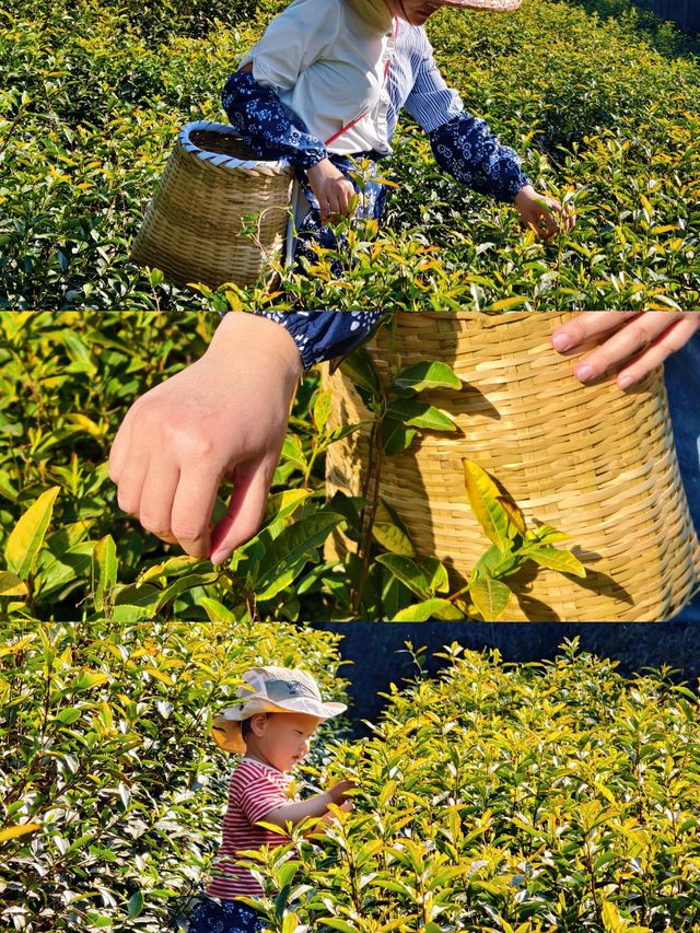 一站式輕鬆獨自帶娃天目湖涵田度假村