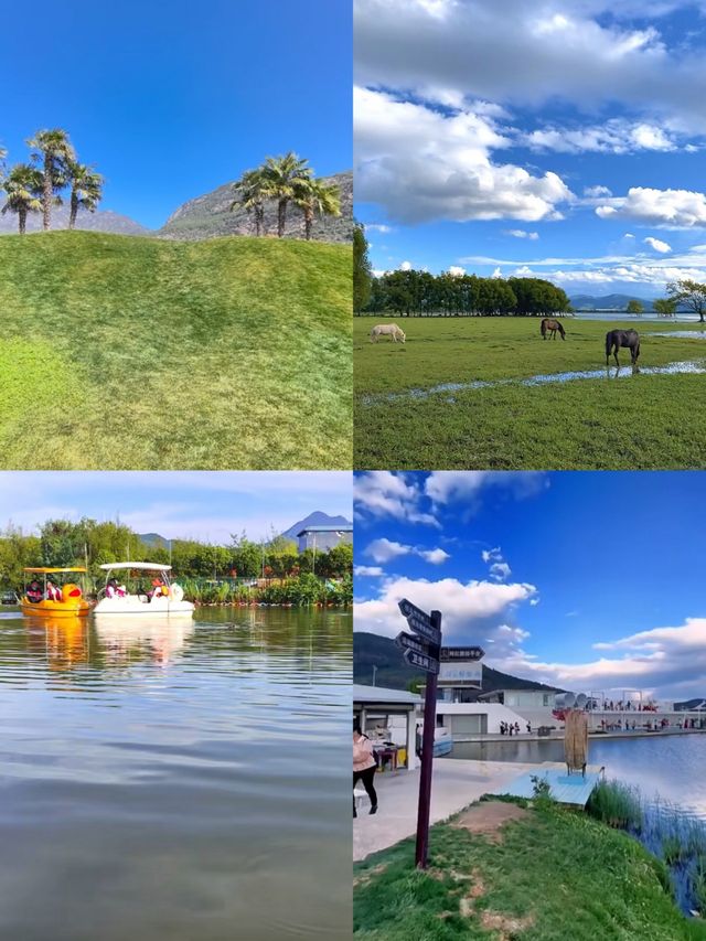 麗江拉市海：茶馬古道上的夢幻水鄉，暢享悠然時光