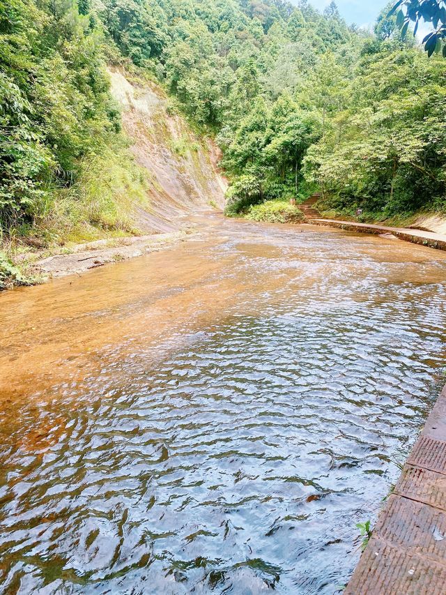 賞花採果之旅，體驗田園樂趣