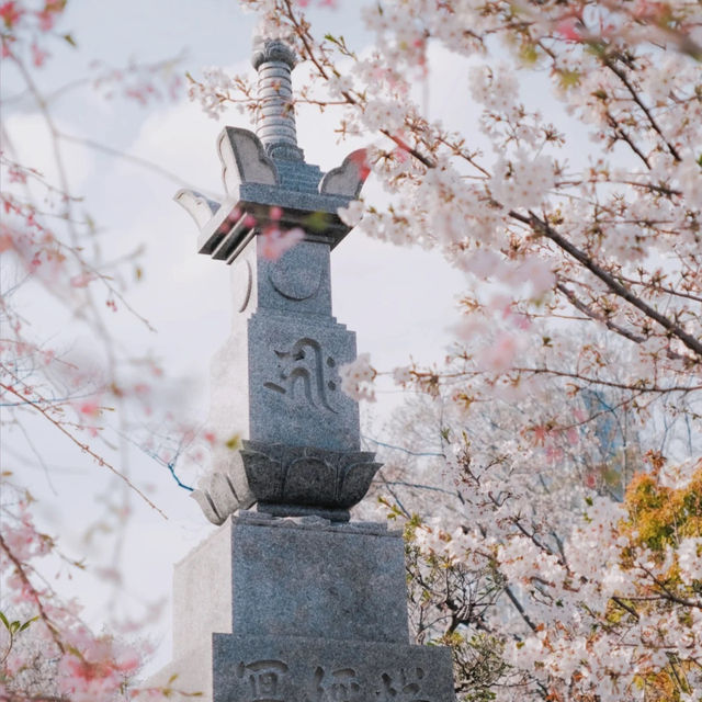 東京塔下的寧靜角落｜增上寺🌆