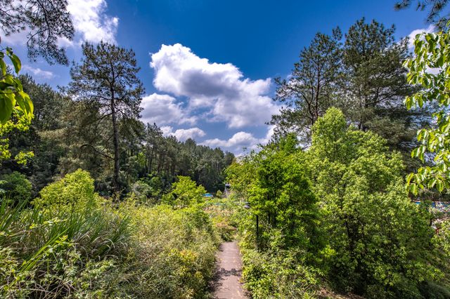 屯溪稽靈山：黃山市區不多見的原生態公園，森呼吸的絕佳去處！