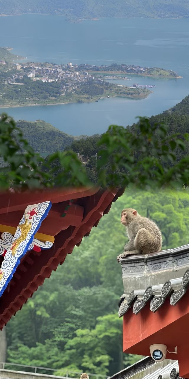誤入薩爾達仙境：貴州六日徒步之旅