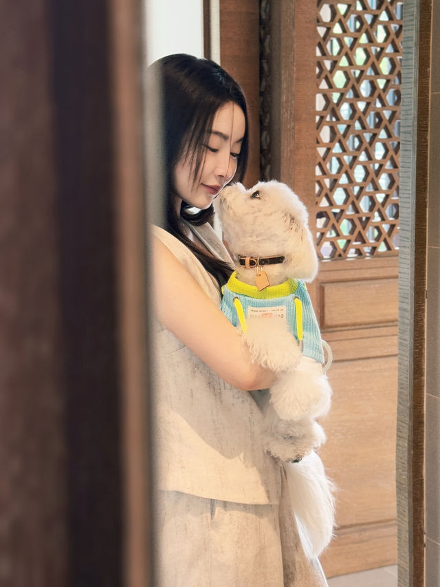 帶小狗自駕陽朔｜山水畫卷悅榕莊