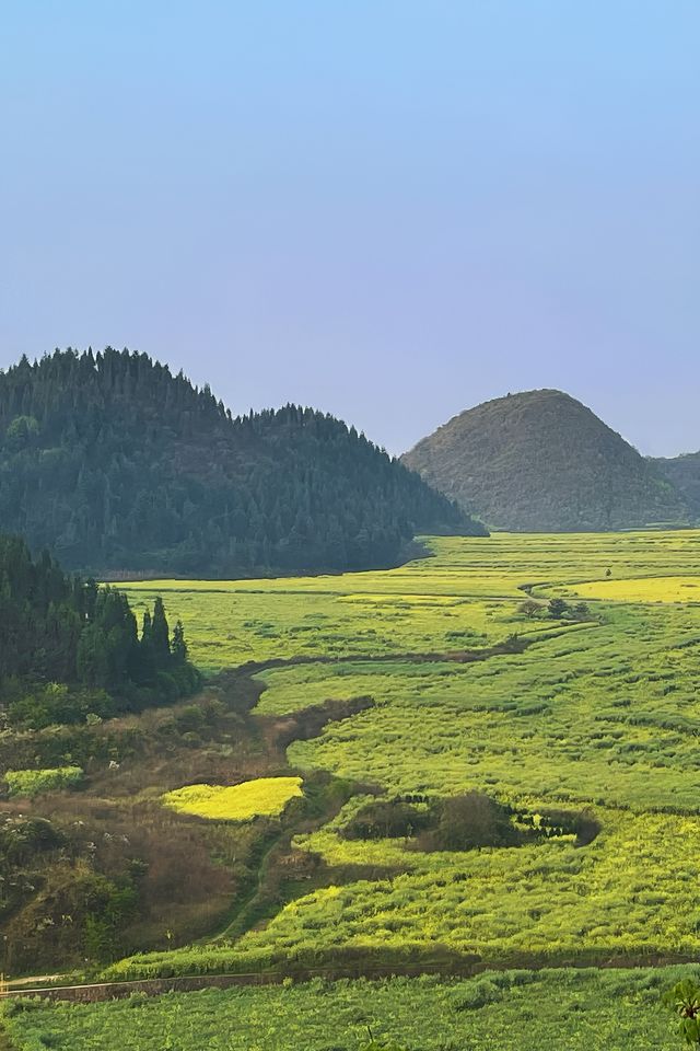 折疊時空的黃金勝景｜羅平油菜花經典路線