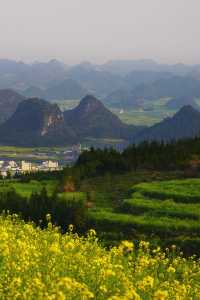 折疊時空的黃金勝景｜羅平油菜花經典路線