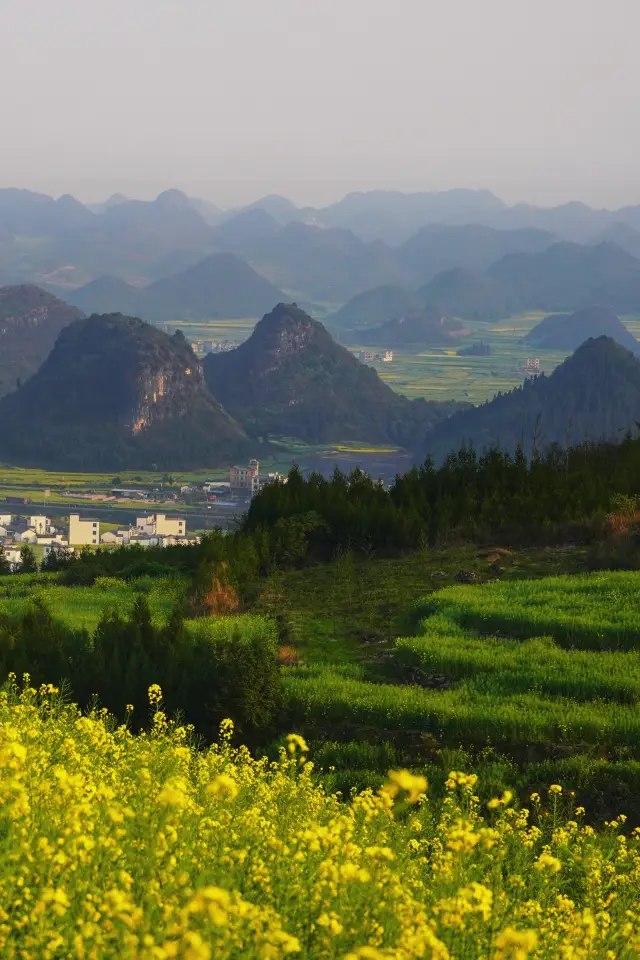 ทิวทัศน์สีทองแห่งกาลเวลาและอวกาศที่พับเก็บลง｜เส้นทางคลาสสิกของดอกเรพซีดหลัวผิง