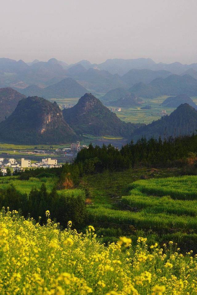 折疊時空的黃金勝景｜羅平油菜花經典路線
