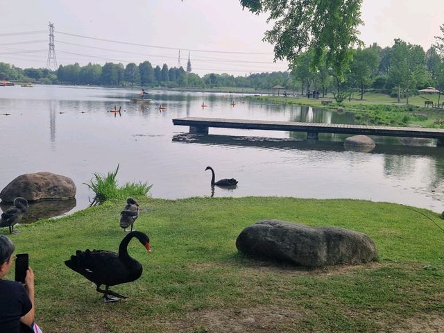 Dream Day at Chenshan Botanical Gardens