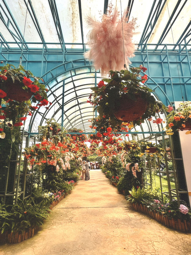 Try not to drown in the “Sea of Flowers” 🌺 in Chengdu!