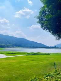 標題：從化秘境｜闖入宮崎駿嘅夏日稻香童話