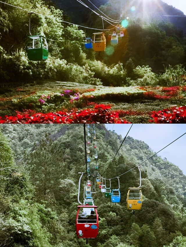 江西大覺山位於江西省撫州市資溪縣境內