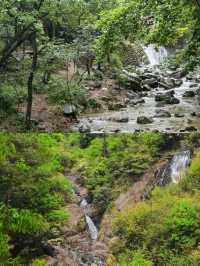 四合院民宿！大奇山森林公園，最能吸氧！
