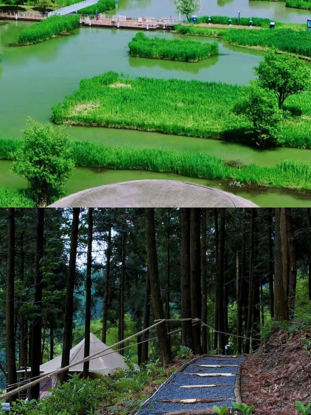 莫干山：竹海深處的隱逸之境