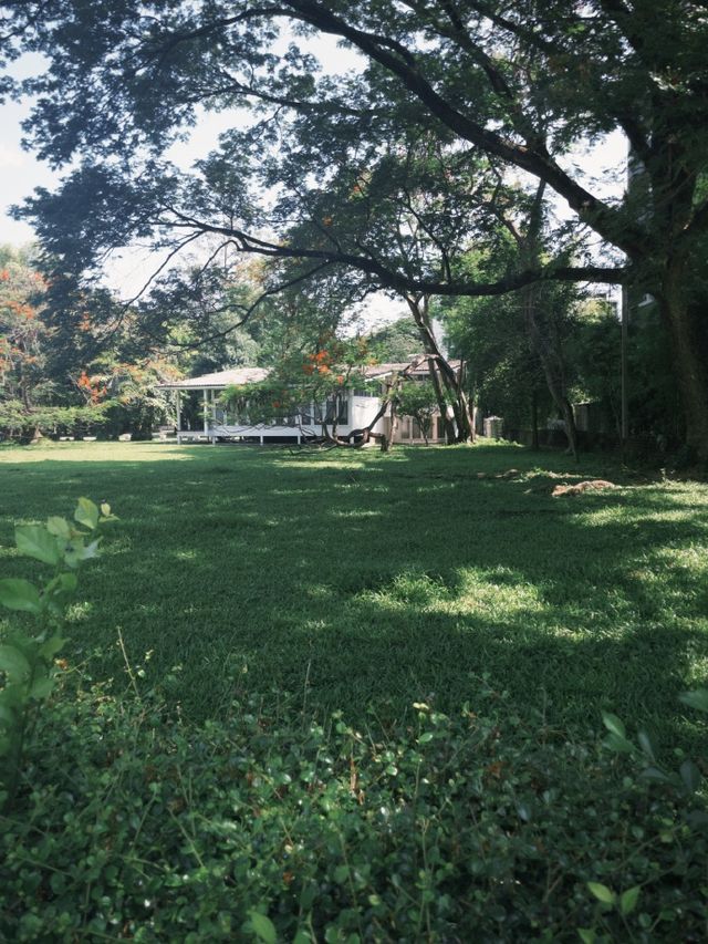 【漫步寧曼路 邂逅文藝與悠閒】