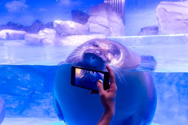 北京to上海海昌海洋公園 | 打工仔放電攻略
