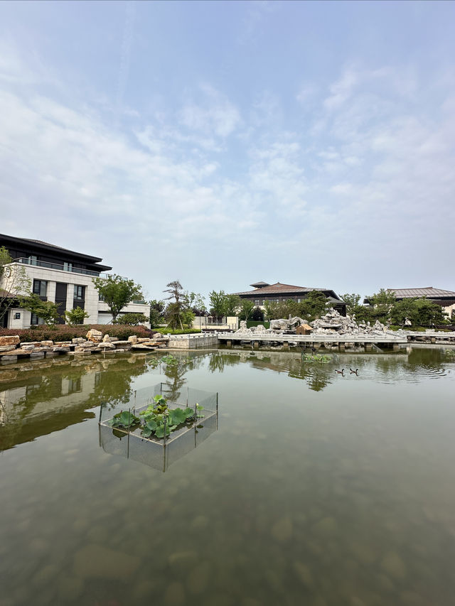 隱藏在日照海邊的中式園林酒店