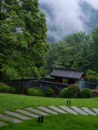 躲進山野秘境｜都市逃兵的隱居實錄