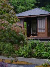 躲進山野秘境｜都市逃兵的隱居實錄
