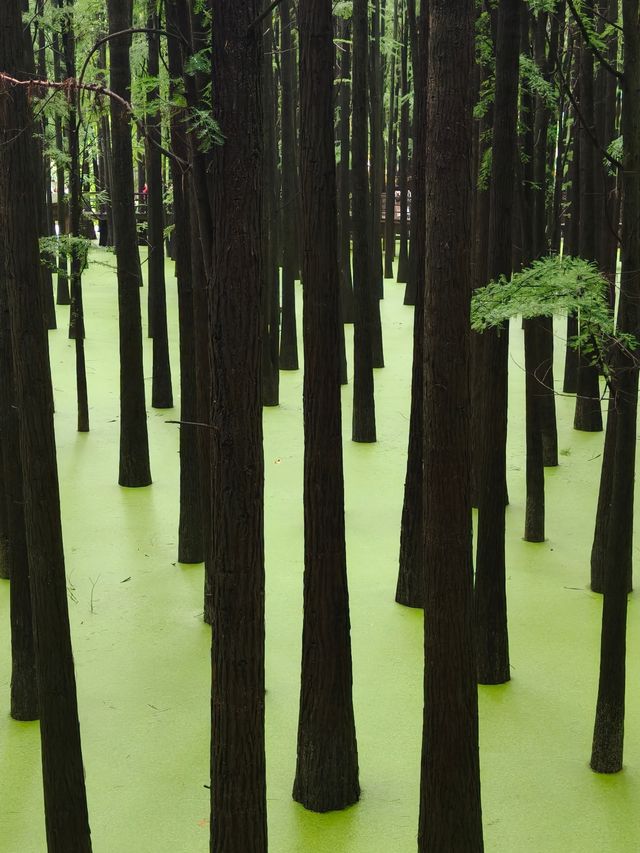 青山湖一日遊•
