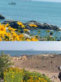 一直以為青島已經夠靚，直到我去咗黃島！