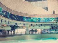 釜山Club D Oasis水上乐园——海景與樂趣的完美融合