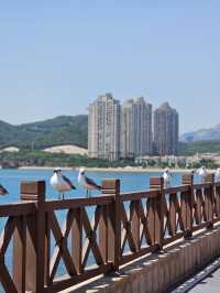 大连游客街