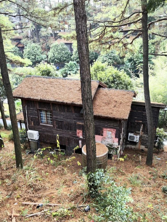 皖南秘境記：恩龍木屋村的日與夜